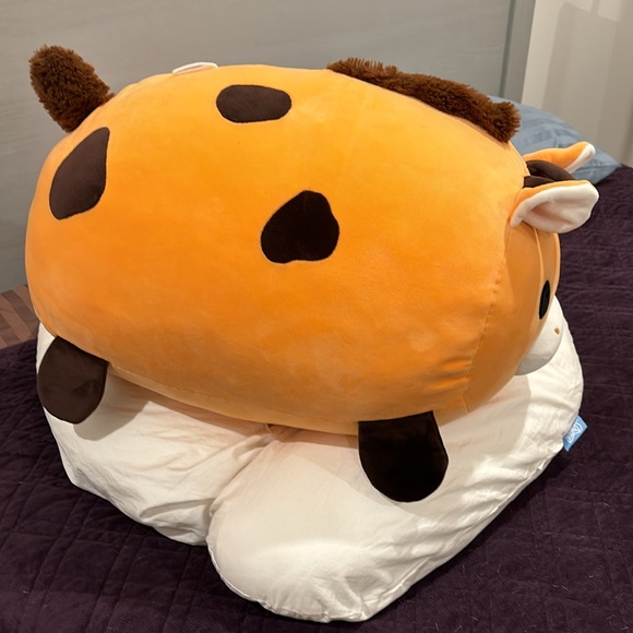 Fiesta pillow - Picture 2 of 2